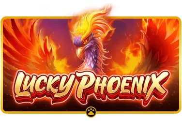 pak365 apk